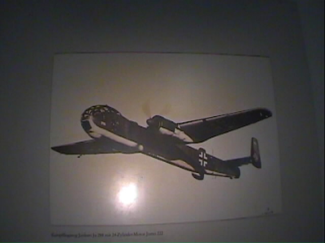 dm163.jpg (37626 bytes)