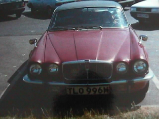 dm10.jpg (37395 bytes)