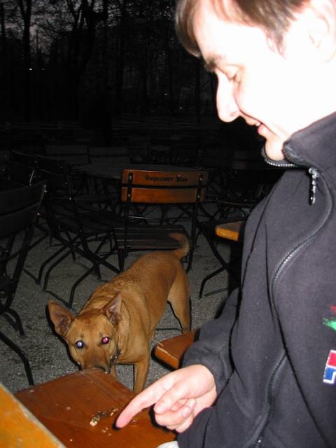 106-0660_img.jpg (36625 bytes)