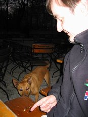 106-0660_IMG.jpg (36625 bytes)