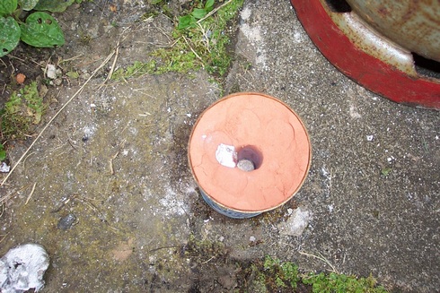 dcp_0138.jpg (36625 bytes)