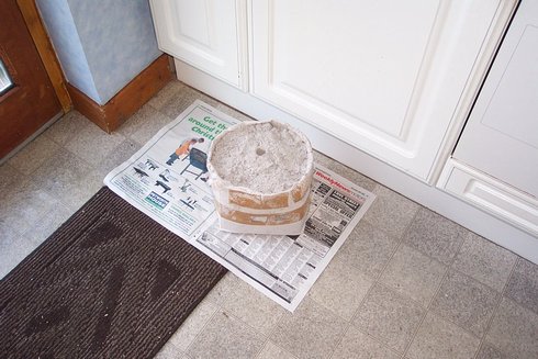 dcp_0533.jpg (37636 bytes)