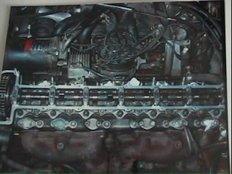 jag09.jpg (36625 bytes)