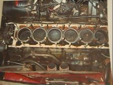 jag14.jpg (37626 bytes)